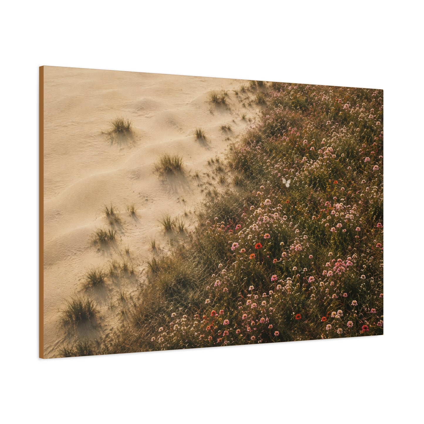 Coastal Dune Wildflowers Matte Canvas Wall Art — Stretched 1.25"