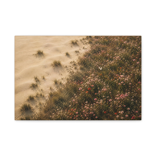 Coastal Dune Wildflowers Matte Canvas Wall Art — Stretched 1.25"