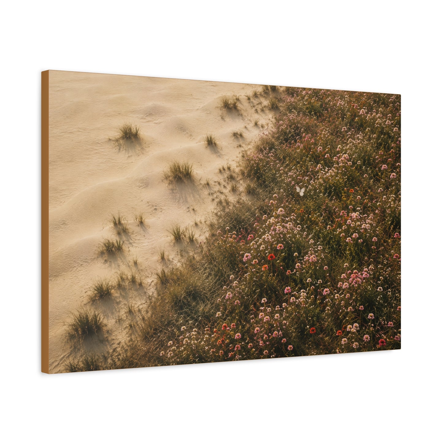 Coastal Dune Wildflowers Matte Canvas Wall Art — Stretched 1.25"